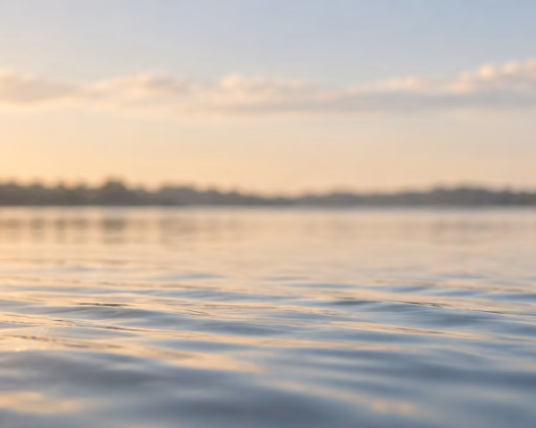 Ruhige Wasseroberfläche im sanften Morgenlicht – Naturmotiv zur Regulation des Nervensystems und Somatic Experiencing bei Antje Ansorge in Potsdam.